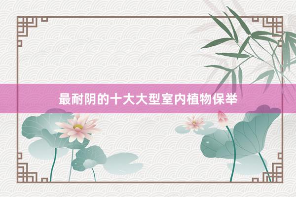 最耐阴的十大大型室内植物保举